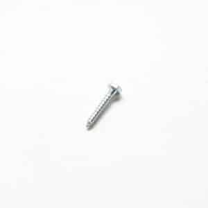 Lag Screws 1/4 in X 2 in 100PK Z